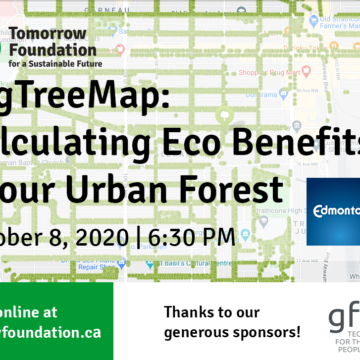 Webinar poster - text over an image of the Tree Map