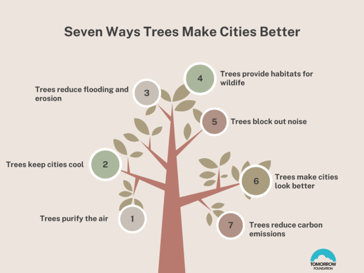 Seven Ways Trees Make Cities Better
